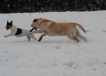 Emma & Fizz